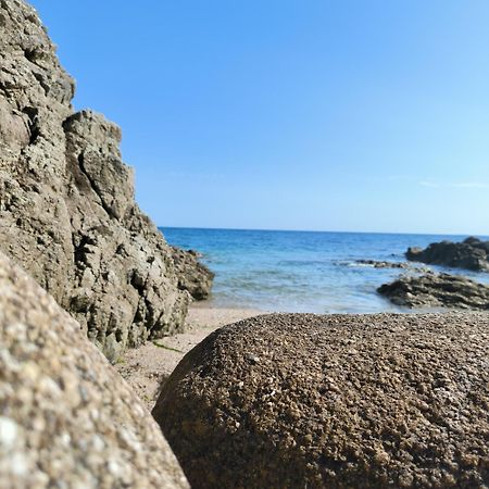 Le 3 Appartement Vue Mer Avec Jardin 100M De La Plage Et De La Thalasso Concarneau Zewnętrze zdjęcie