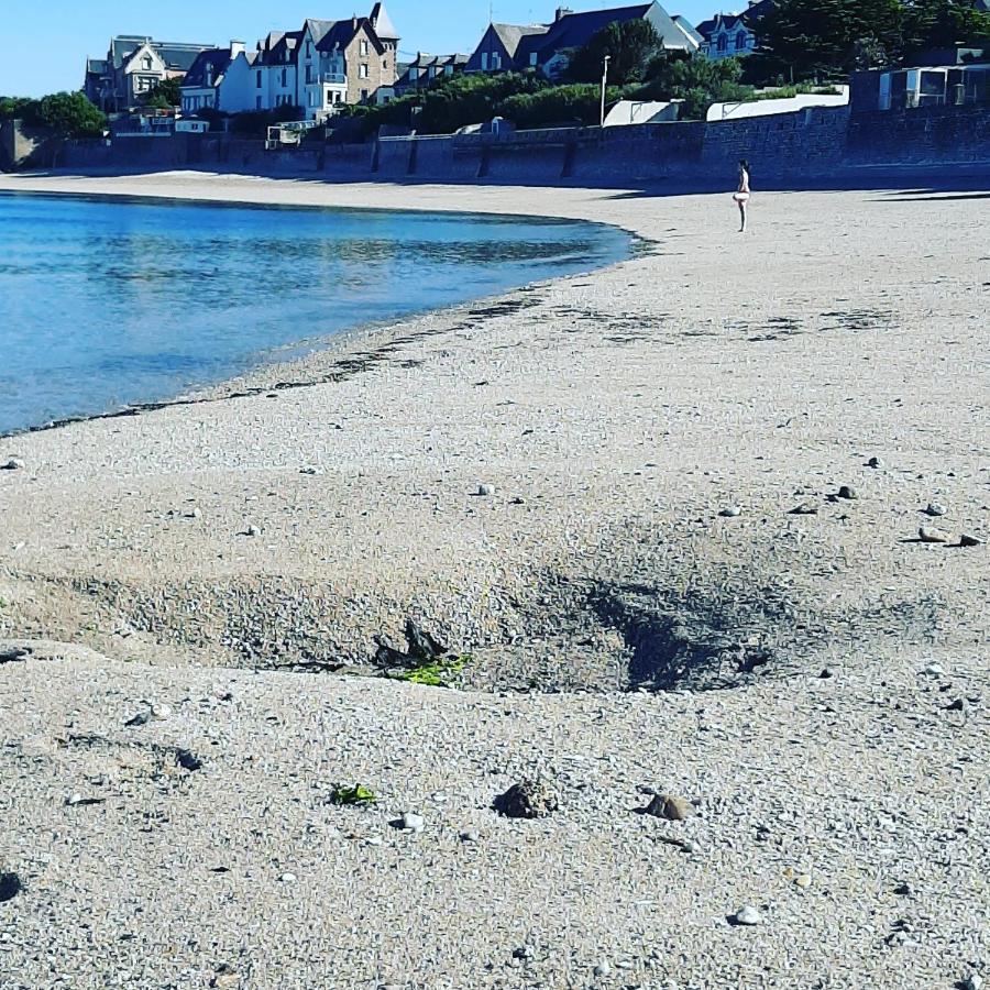 Le 3 Appartement Vue Mer Avec Jardin 100M De La Plage Et De La Thalasso Concarneau Zewnętrze zdjęcie