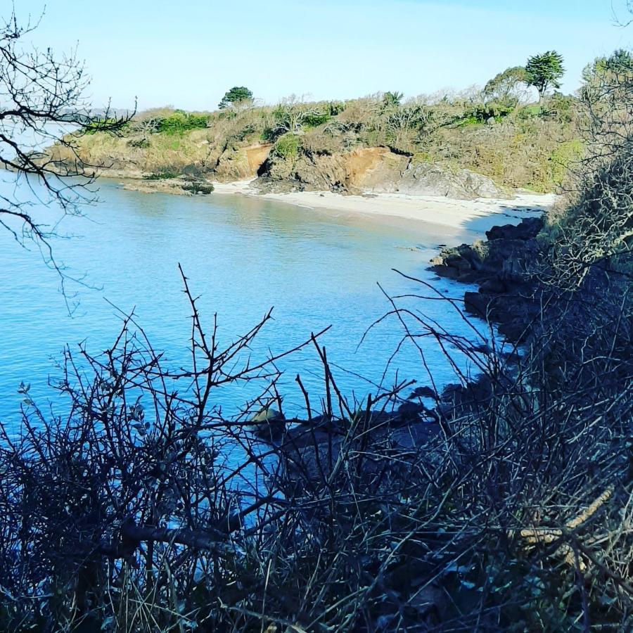 Le 3 Appartement Vue Mer Avec Jardin 100M De La Plage Et De La Thalasso Concarneau Zewnętrze zdjęcie