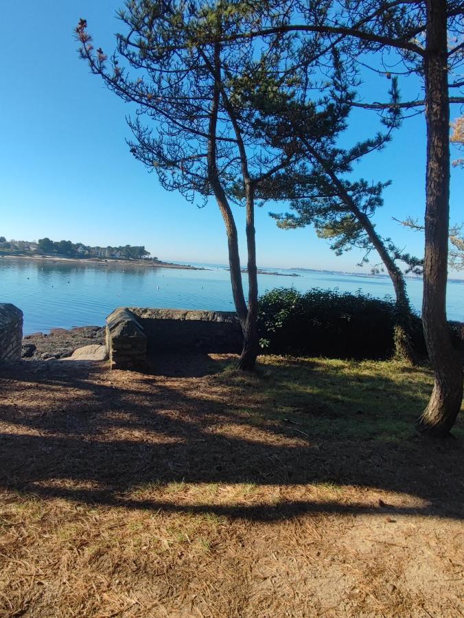 Le 3 Appartement Vue Mer Avec Jardin 100M De La Plage Et De La Thalasso Concarneau Zewnętrze zdjęcie