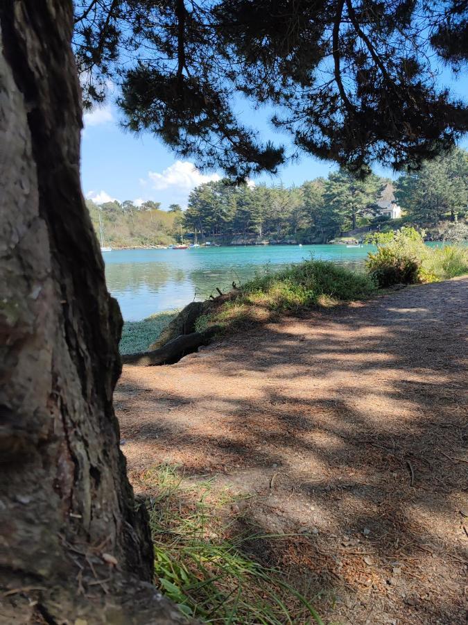 Le 3 Appartement Vue Mer Avec Jardin 100M De La Plage Et De La Thalasso Concarneau Zewnętrze zdjęcie